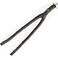 You & Me Bird Manzanita Wood Multi-Branch Bird Perch Toy