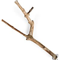 You & Me Java Wood Multi-Branch Perch Toy