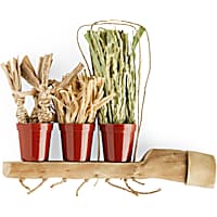 You & Me Plant Trio Toy