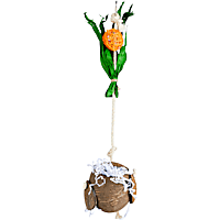 You & Me Hanging Coconut Plant Toy