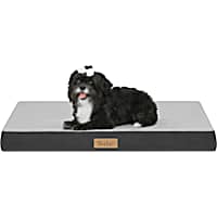 TailZzz Dream 2-in-1 Cool Gel Infused with High Density foam Rectangle Pet Mattress