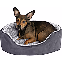 Furhaven Two-Tone Faux Fur & Suede Oval Lounger with Removable Washable Dog Bed Cover