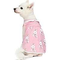 Blueberry Pet Wonderland Sleeveless Floral Dog Dress with Peter Pan Collar