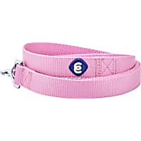 Blueberry Pet Essentials Durable Classic Dog Leash