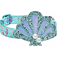 Blueberry Pet Detachable Shell Adjustable Dog Collar