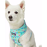 Blueberry Pet Soft & Comfy Adjustable Dog Harness Vest