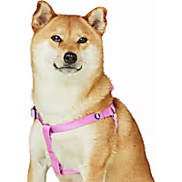 Blueberry Pet Classic Nylon Adjustable Step-in Dog Harness