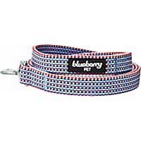 Blueberry Pet Dog Leash