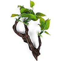 Imagitarium Driftwood with Greenery