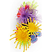 Imagitarium Coral with Silicone