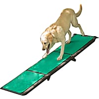 Petco folding new arrivals dog ramp