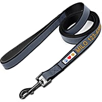 Pawtitas Personalized Padded Dog Leash