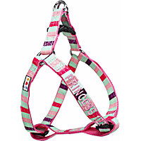 Pawtitas Multicolor Personalized Dog Harness