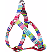 Pawtitas Pink/Blue/Teal/Green Multicolor Personalized Dog Harness