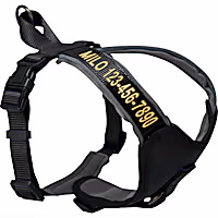 Pawtitas Personalized Padded Dog Harness