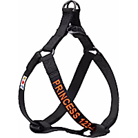 Pawtitas Personalized Solid Dog Harness
