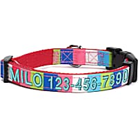Pawtitas Multicolor Personalized Dog Collar