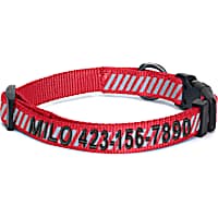 Petco light shop up collar