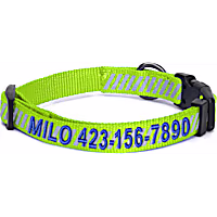 Pawtitas Personalized Reflective Traffic Dog Collar