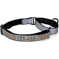 Pawtitas Personalized Reflective Martingale Dog Collar