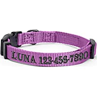 Pawtitas Personalized Solid Dog Collar