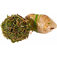 Floating Moss Ball