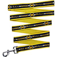 Pets First Michigan Satin Dog Leash