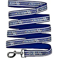 Pets First Kentucky Satin Dog Leash