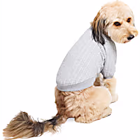 Reddy Quilted Crewneck Dog Sweater