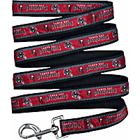 Pets First Tampa Bay Buccaneers Satin Dog Leash