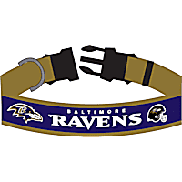Pets First Baltimore Ravens Satin Dog Collar