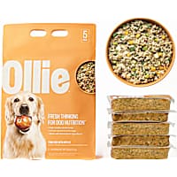 Ollie Fresh Pork Dish with Apples Fresh Frozen Dog Food