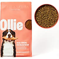 Dog Food Quality Nutrition For Every Dog Petco