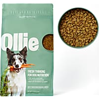 Petco zignature dog food cheap