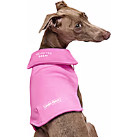 Canada Pooch Weighted Calming Dog Vest