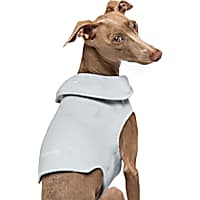 Thunder jacket petco sale