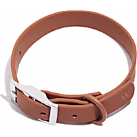 Wild One Dog Collar