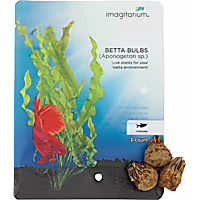 Betta Bulbs