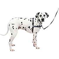 PetSafe Easy Walk Deluxe Dog Harness, No Pull Dog Harness, Steelss