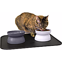 Kitty City Raised Cat Food Bowl with Mat