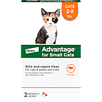 Petco shop frontline cats