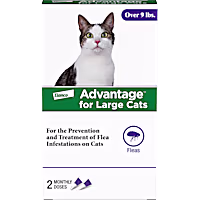 Advantage Topical Flea Prevention 2-Monthly Treatments For Large Cats