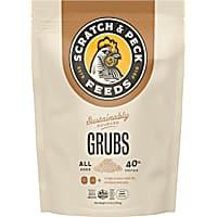 My Favorite Chicken Grubs Scratch and Peck Feeds