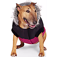 Canada Pooch True North Parka for Dogs