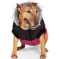 Canada Pooch True North Parka for Dogs