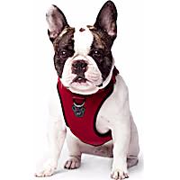 Canada Pooch Everything Dog Harness