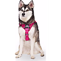Canada Pooch Complete Control Dog Harness