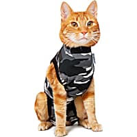 Cat Cones Recovery Cat Cones Collars Petco