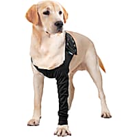 Knee brace for dogs petco cheap