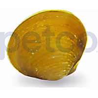 Yellow Mini Clam